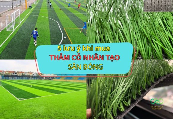 Những lưu ý khi mua thảm cỏ nhân tạo sân bóng đá