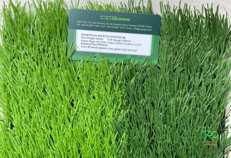Đặc điểm cỏ nhân tạo sân bóng giá rẻ