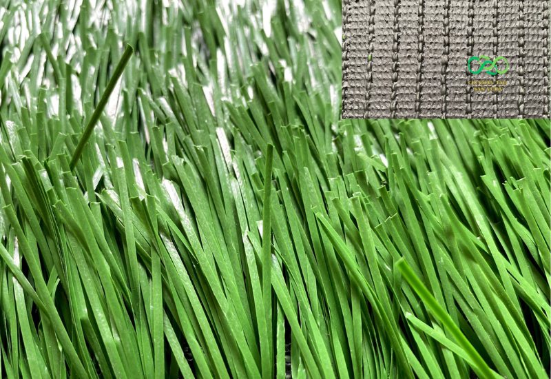 Lựa chọn dòng cỏ phù hợp, đảm bảo chất lượng như CCGRASS
