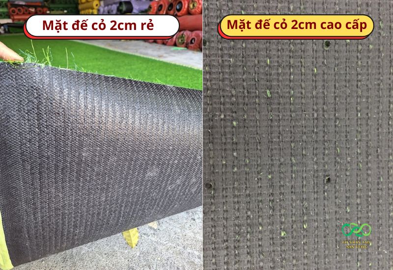 Phân biệt mặt đế của 2 dòng cỏ