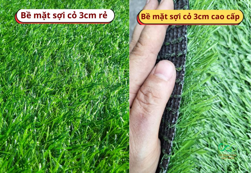 So sánh và nhận biết nhanh chất lượng của cỏ nhân tạo 3cm