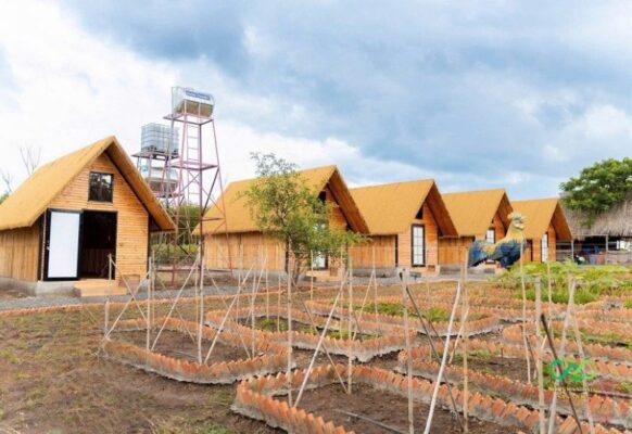 Thảm rơm nhân tạo lợp mái