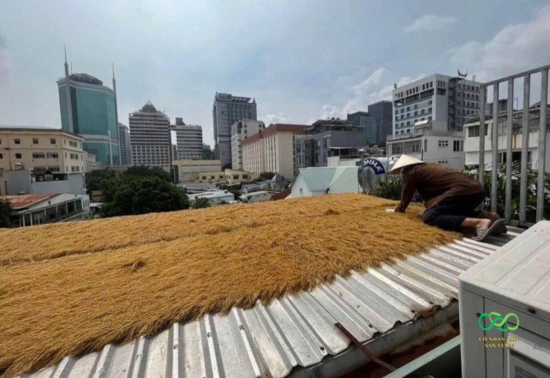 Cắt rơm và trải đều trên bề mặt cần thi công