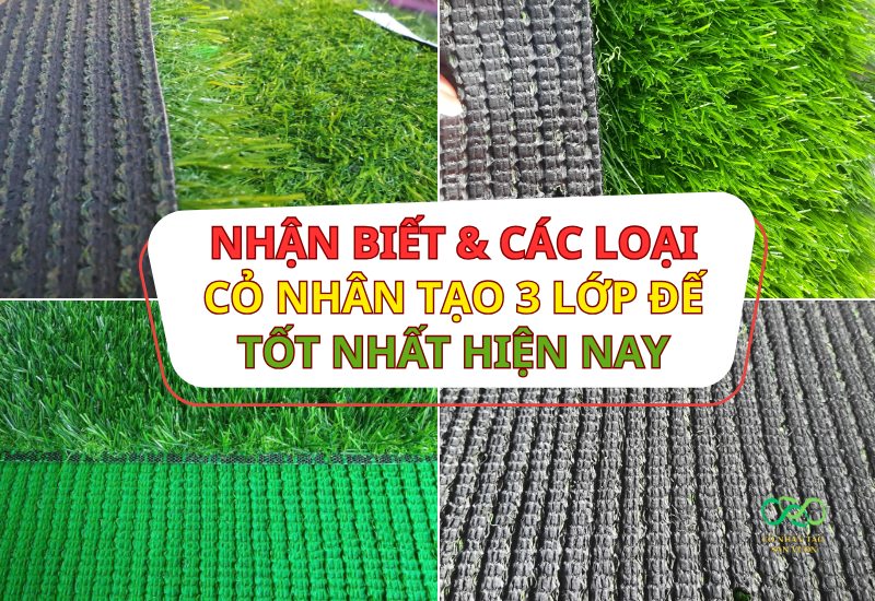 Nhận biết và top những dòng cỏ nhân tạo 3 lớp đế tốt nhất