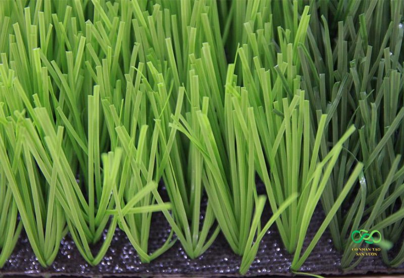 Thảm cỏ nhân tạo sân bóng 5cm