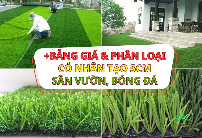 Phân loại thảm cỏ nhân tạo 5cm phổ biến