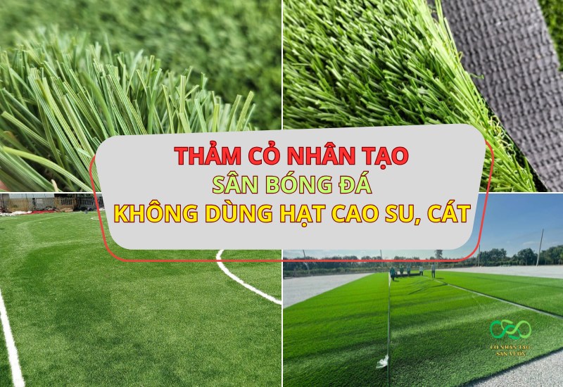 Dòng thảm cỏ nhân tạo sân bóng đá không dùng hạt cao su và cát