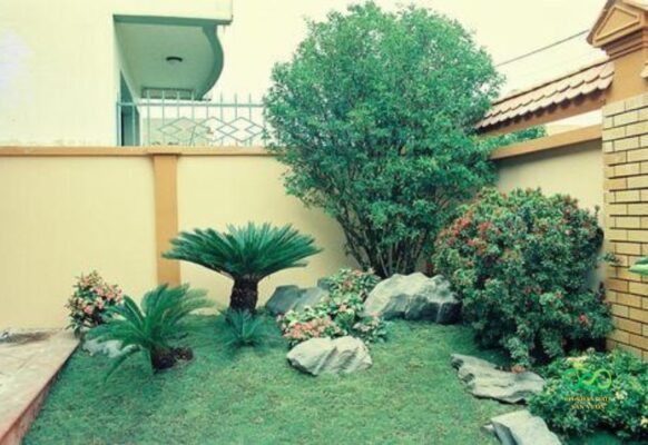 Tiểu cảnh biệt thự