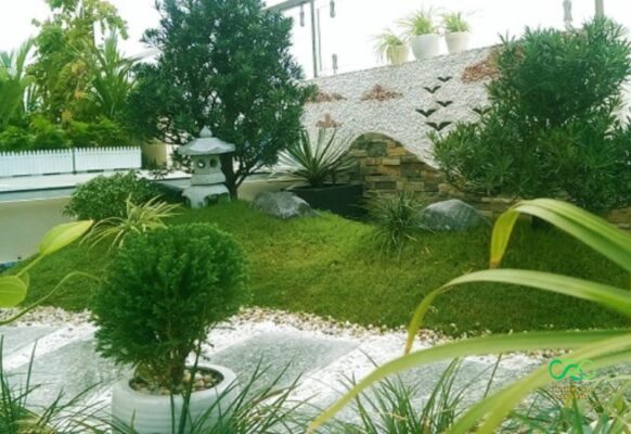 Những khuôn viên xanh tươi