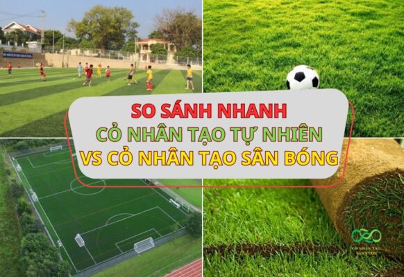 So sánh sự khác nhau giữa thảm cỏ tự nhiên và thảm cỏ nhân tạo