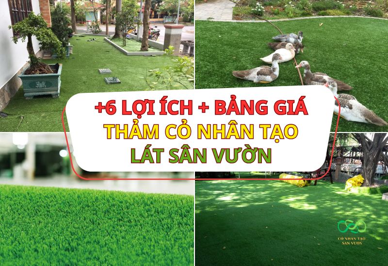 Bảng giá và 6 lợi ích của thảm cỏ nhân tạo lát sân vườn