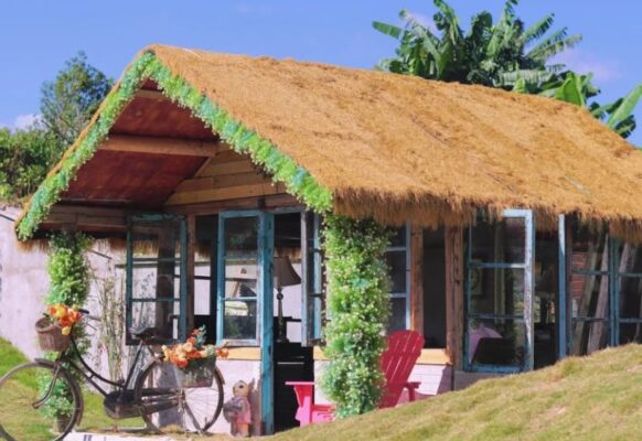 Chuyên cung cấp, thi công thảm rơm vàng nhân tạo giá rẻ