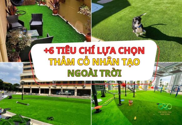 Bảng giá kèm 6 tiêu chí lựa chọn thảm cỏ nhân tạo ngoài trời