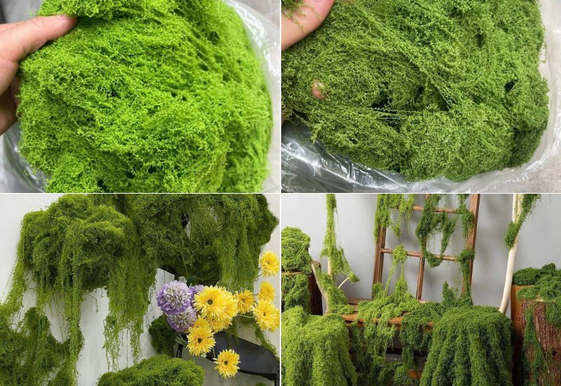 Rêu sợi nhân tạo