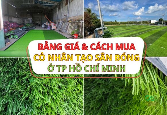 Bảng giá và cách mua thảm cỏ nhân tạo sân bóng đá TPHCM