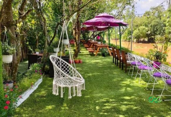Thảm cỏ cũ còn như mới dùng cho sân vườn