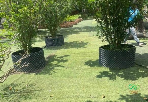 Trải cỏ hạn chế sự phát triển cỏ