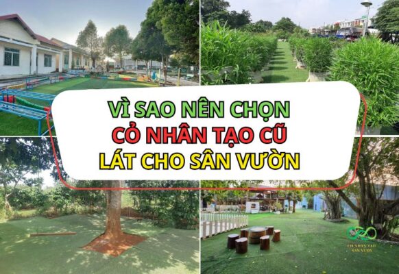 Vì sao nên chọn cỏ nhân tạo cũ lát cho sân vườn