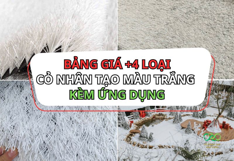 Thảm cỏ nhân tạo màu trắng