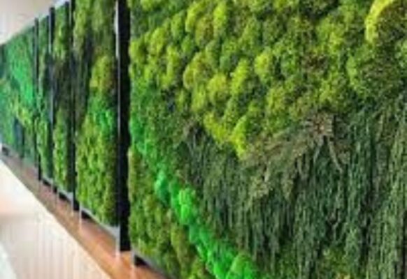 Thiết kế tường, vách ngăn với rêu nhân tạo