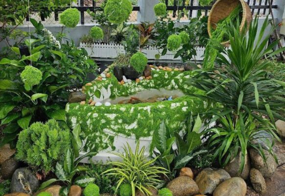 Khuôn viên quán cà phê trở nên thân thiện