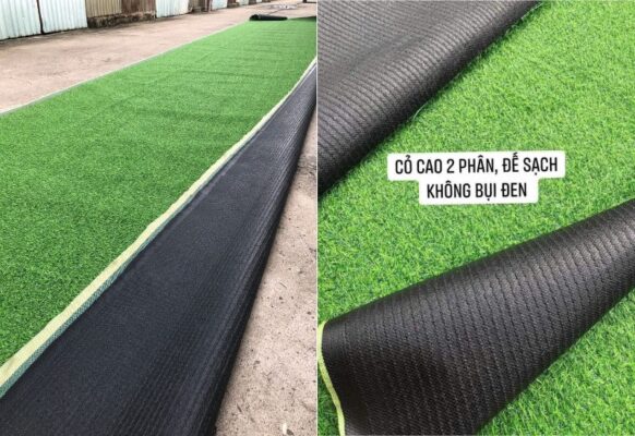 Thảm cỏ nhân tạo 2cm đế bạt giá rẻ