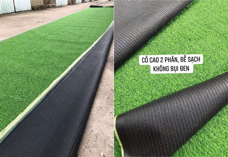 Thảm cỏ nhân tạo 2cm đế bạt giá rẻ