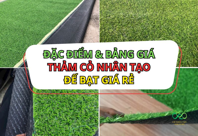 Đặc điểm và bảng giá của thảm cỏ nhân tạo đế bạt