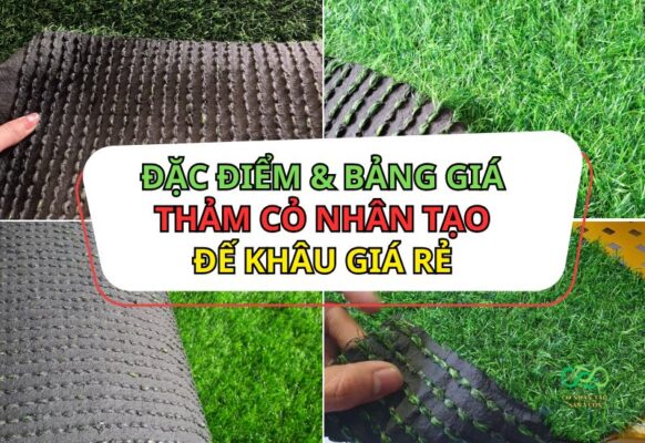 Đặc điểm và bảng giá cỏ nhân tạo đế khâu