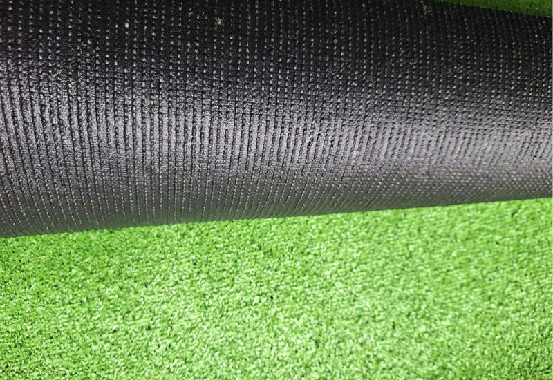 Dễ dàng quan sát bằng mắt với màu đen bóng đặc trưng