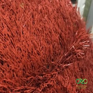Mặt cỏ êm ái, dày