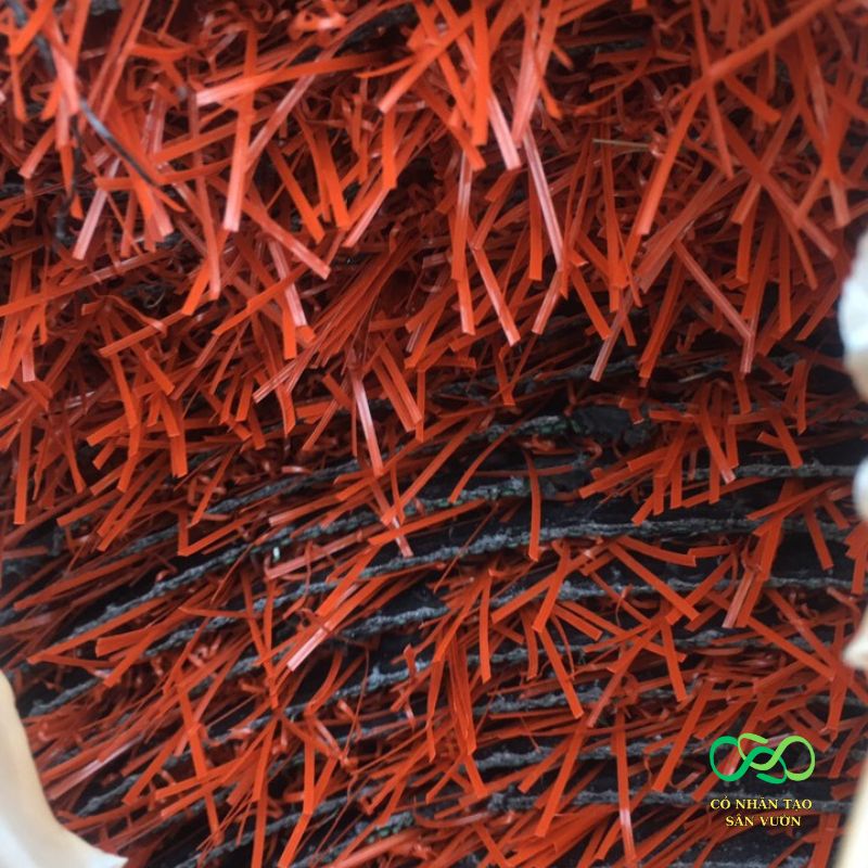 Cỏ dày, đẹp, đa ứng dụng Cỏ dày, đẹp, đa ứng dụng
