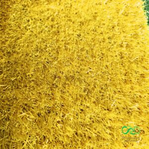 Cỏ nhân tạo giá tốt, dễ trang trí