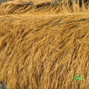 Màu sắc tự nhiên