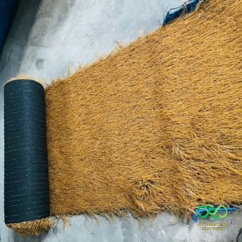 Sợi dài, đẹp, đế chắc Sợi dài, đẹp, đế chắc