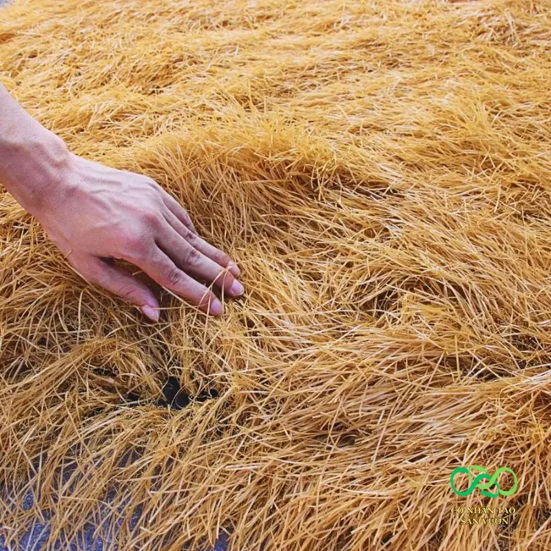 Bề mặt êm ái, chất lượng tốt Bề mặt êm ái, chất lượng tốt