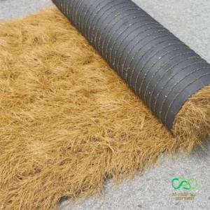 Nổi bật với mặt đế bằng nhựa