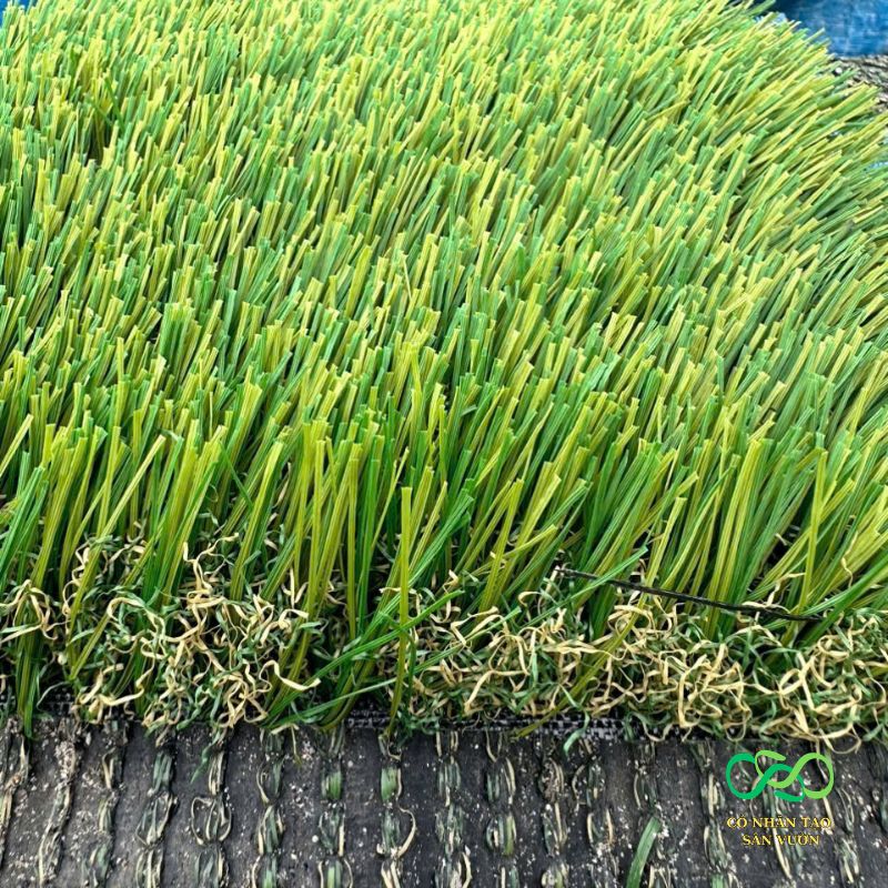 Thảm cỏ nhân tạo chân úa vàng cao cấp Thảm cỏ nhân tạo chân úa vàng cao cấp
