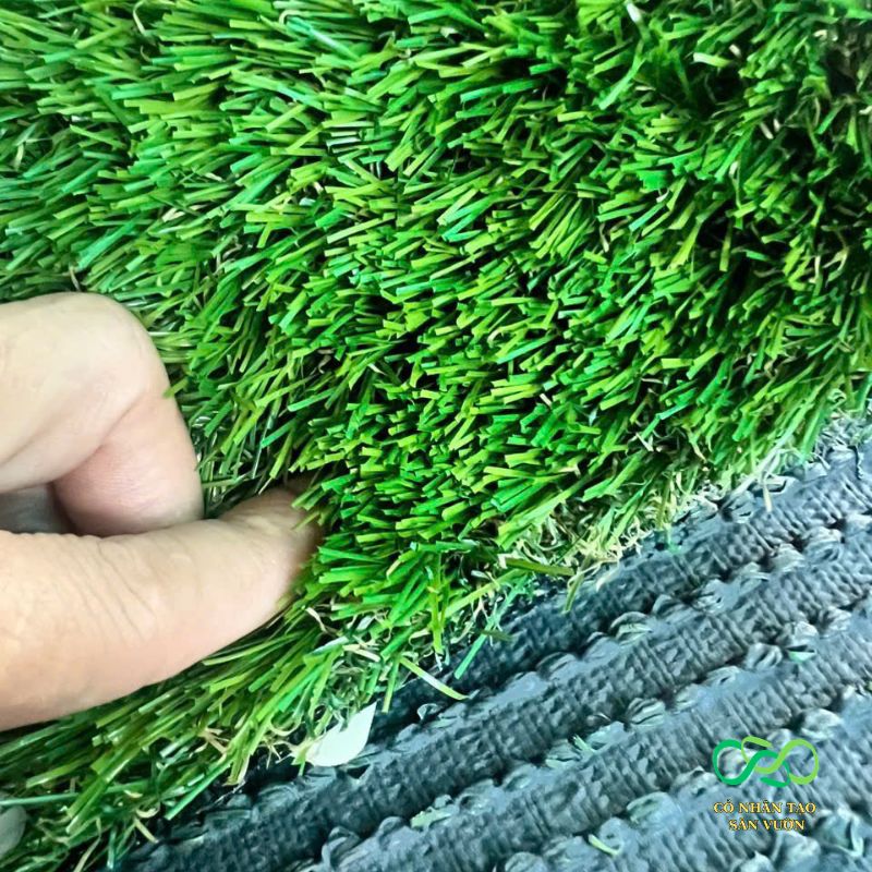 Mặt cỏ chắc chắn, sợi êm mịn Mặt cỏ chắc chắn, sợi êm mịn