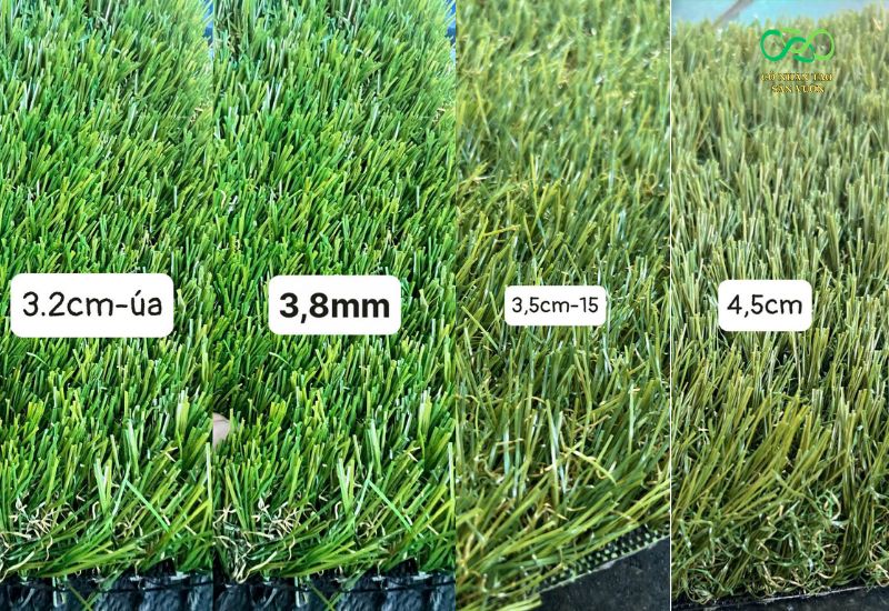 Các loại cỏ chân úa phổ biến trên thị trường