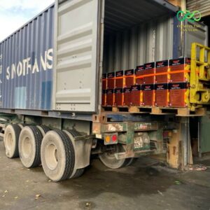 Keo được nhập khẩu chính hãng