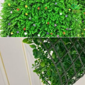 Mặt trước và mặt sau của tấm tai chuột hoa điểm