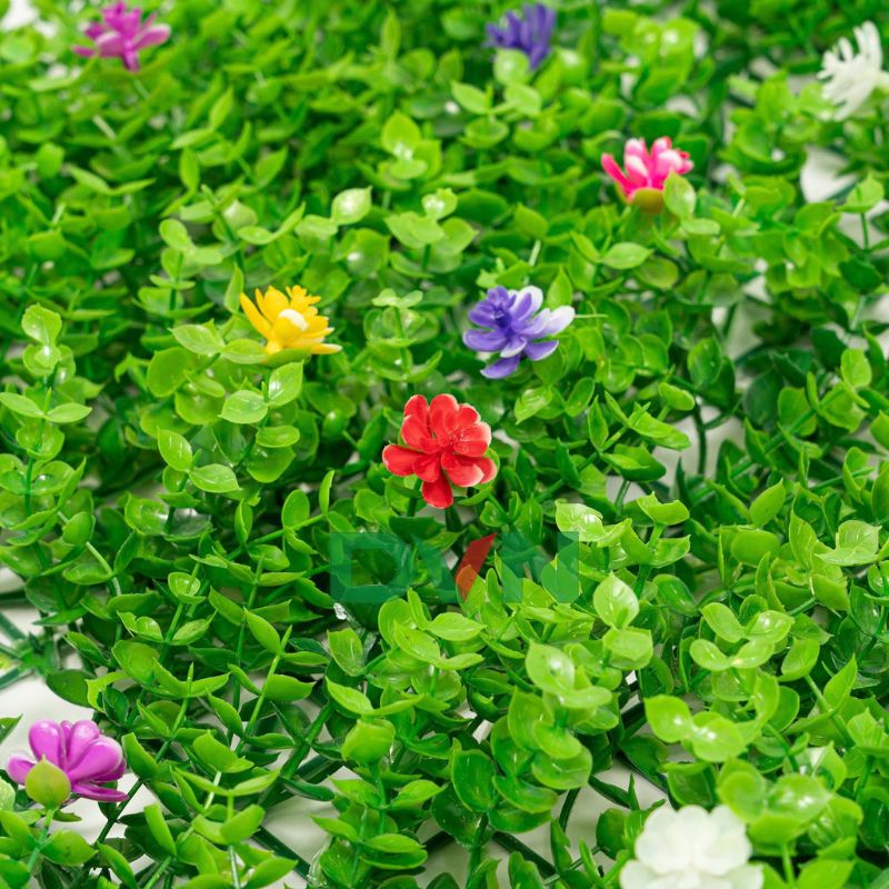 Hoa điểm đa màu sắc đẹp mắt Hoa điểm đa màu sắc đẹp mắt