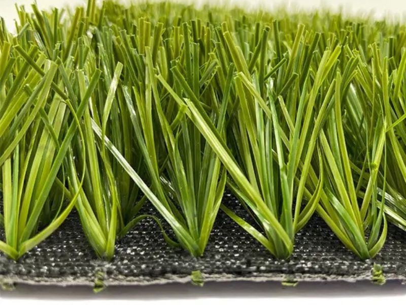 Cấu trúc sợi cỏ ảnh hưởng đến độ bền