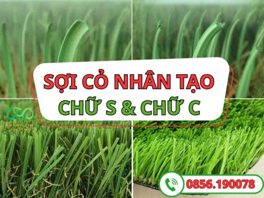 Sợi cỏ nhân tạo sợi S và sợi chữ C