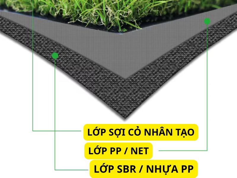 Thảm cỏ nhân tạo 2 lớp đế