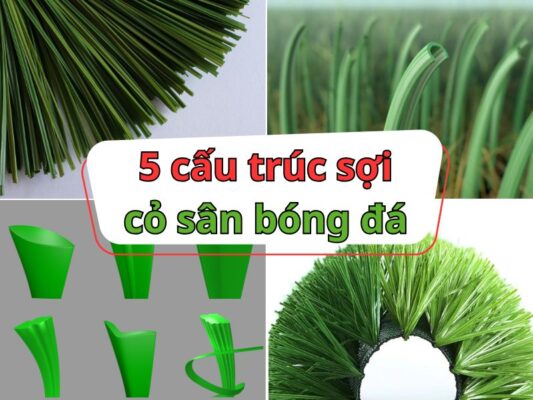 5 cấu trúc sợi cỏ nhân tạo sân bóng đá