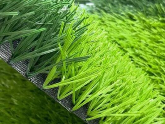 Cỏ sợi 1 gân