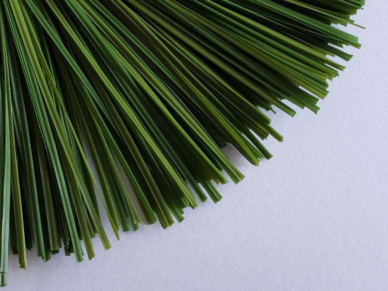Thảm cỏ nhân tạo cho sân bóng đá