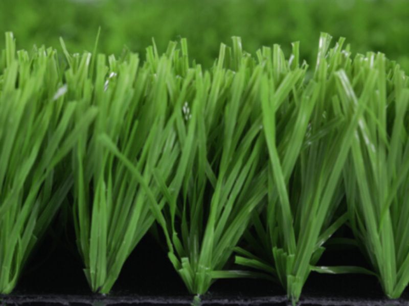 Cỏ sợi kim cương êm ái